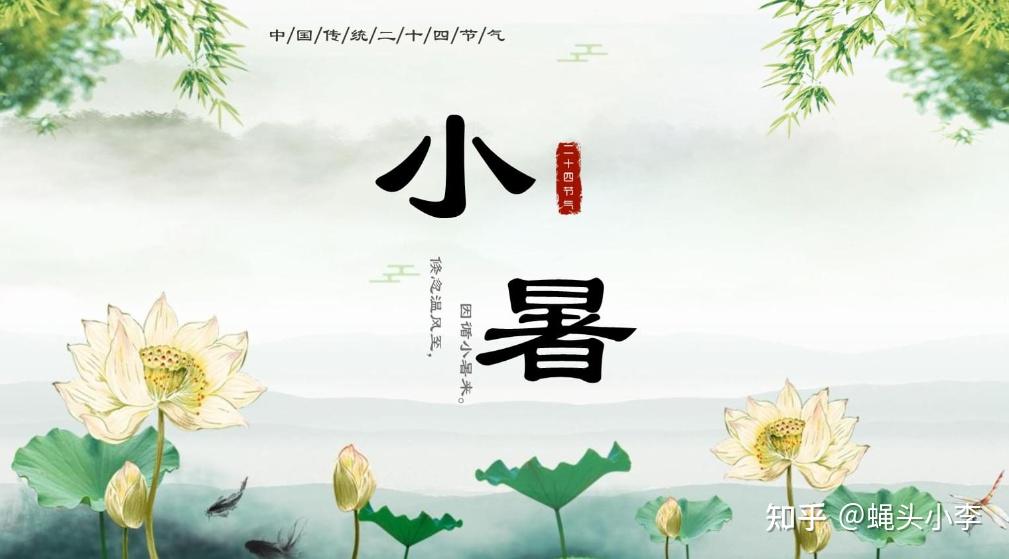 AI科普:小暑养生“避”当先!四招躲开暑湿风寒