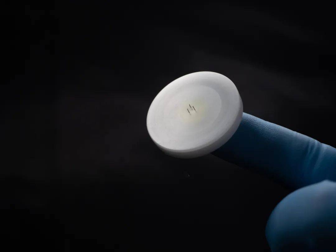 浙大科研团队发现心肌梗死修复关键靶点