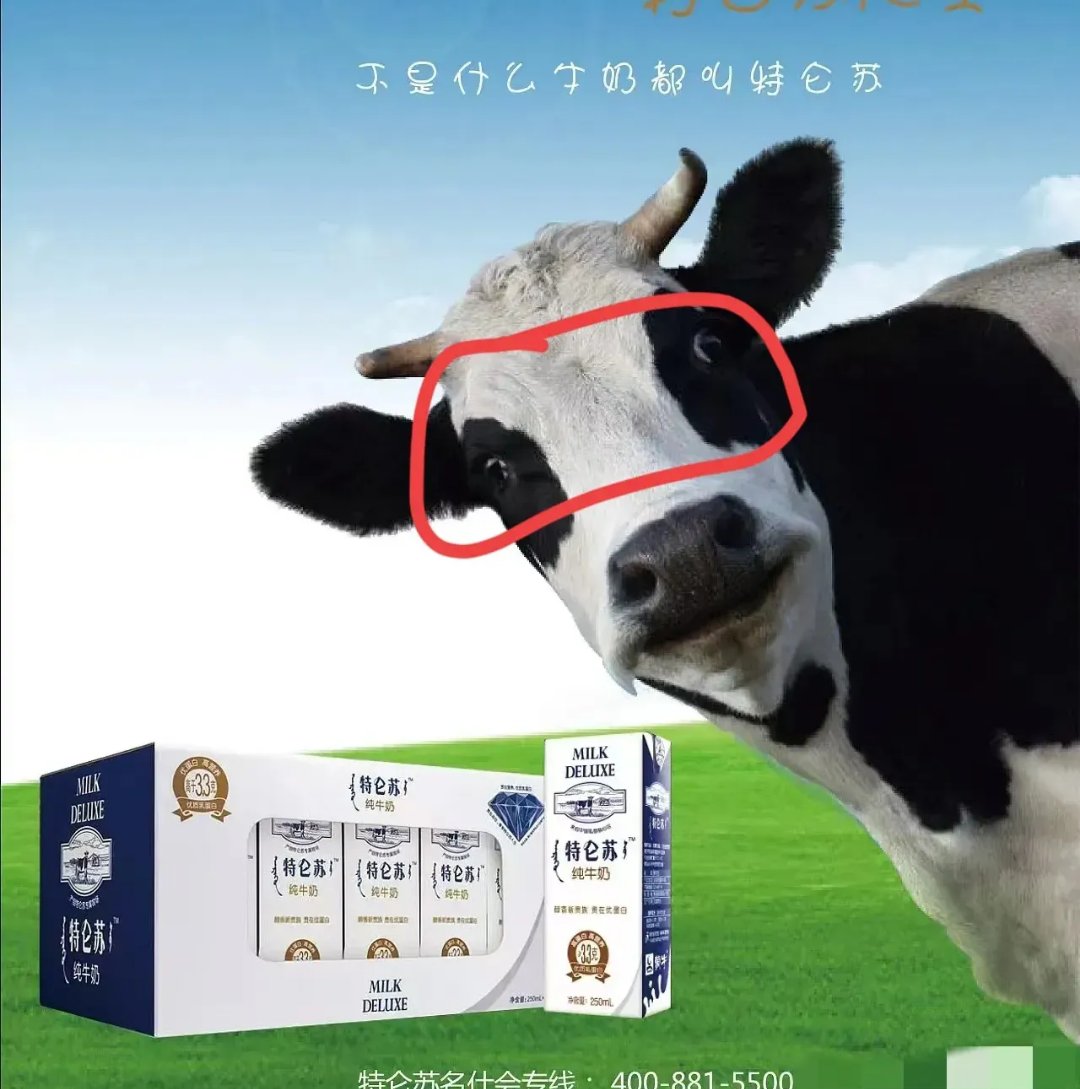 蒙牛“托底”也难挡亏损,现代牧业上半年预亏再扩大,50万头奶牛目标悬了?