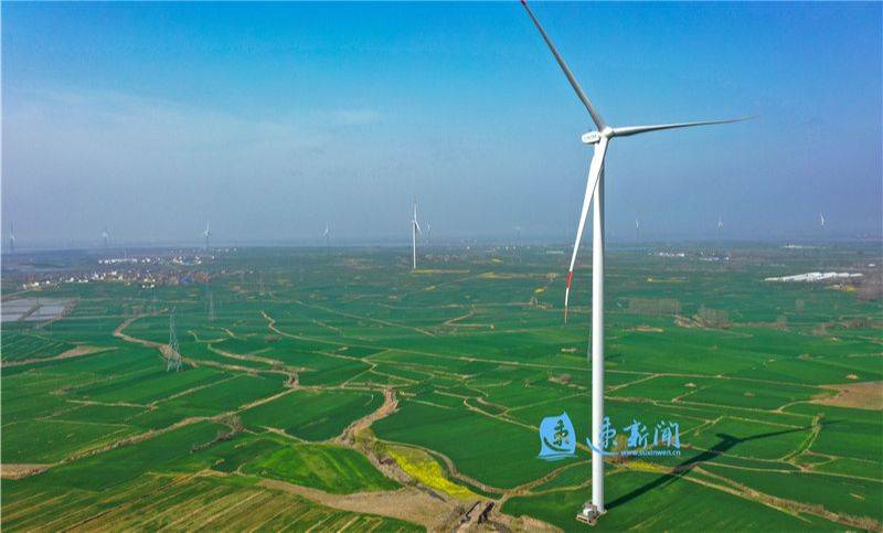 麦田能源外销模式：与关联方青山系内控不规范，存货跌价准备大增