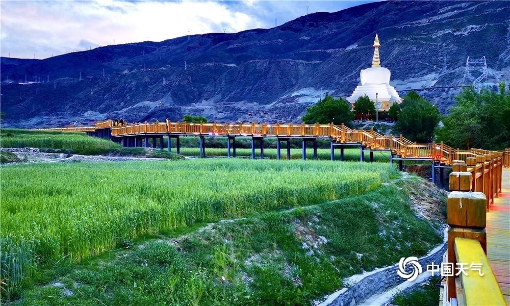 麦田能源外销模式：与关联方青山系内控不规范，存货跌价准备大增