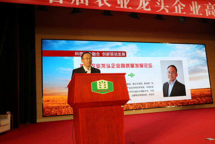 政府引导企业选聘高校“科技副总”：一场人才选拔的突围