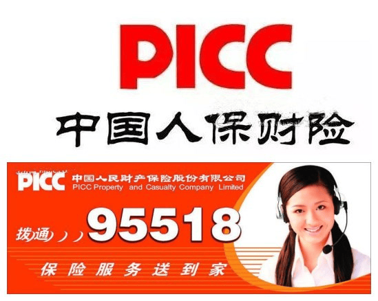 2025年电子按摩器产业现状与未来发展趋势展望_人保车险,人保服务
