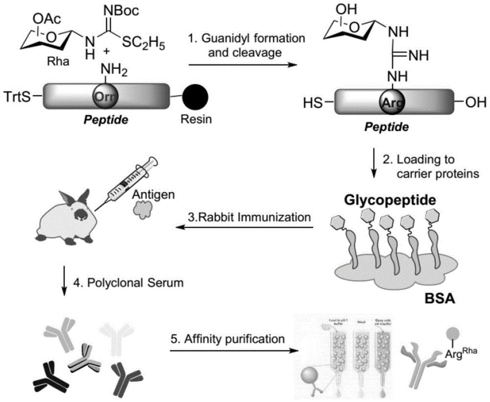 苏博特获得发明专利授权:“一种基于rGO气凝胶负载过渡金属碳化物的吸波涂料及其制备方法与应用”