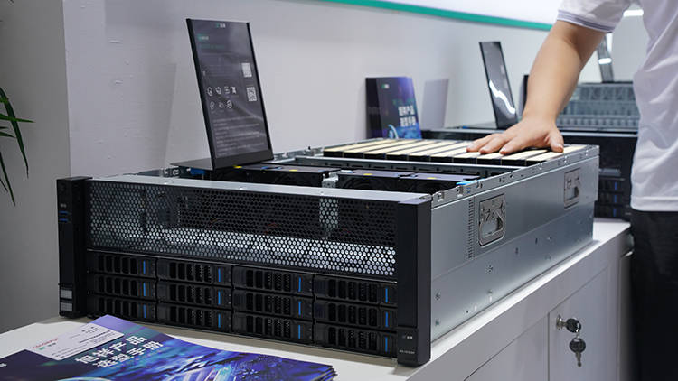 黑色食材产品行业现状与发展趋势分析2025_人保财险政银保 ,人保护你周全