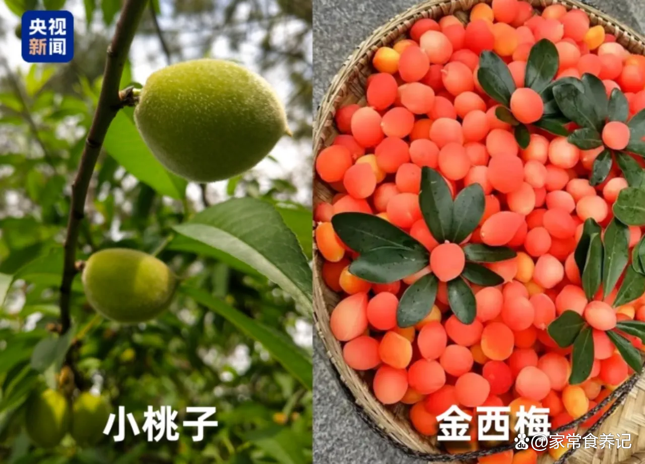 水果变甜是用了“科技狠活”吗