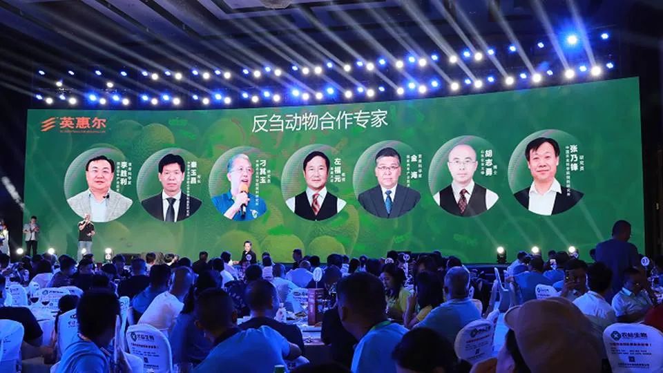 2025第32届中国国际广告节及第34届亚洲广告大会将在北京海淀举办