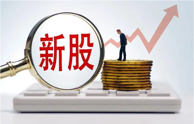 宣泰医药(688247)2025年中报简析:增收不增利
