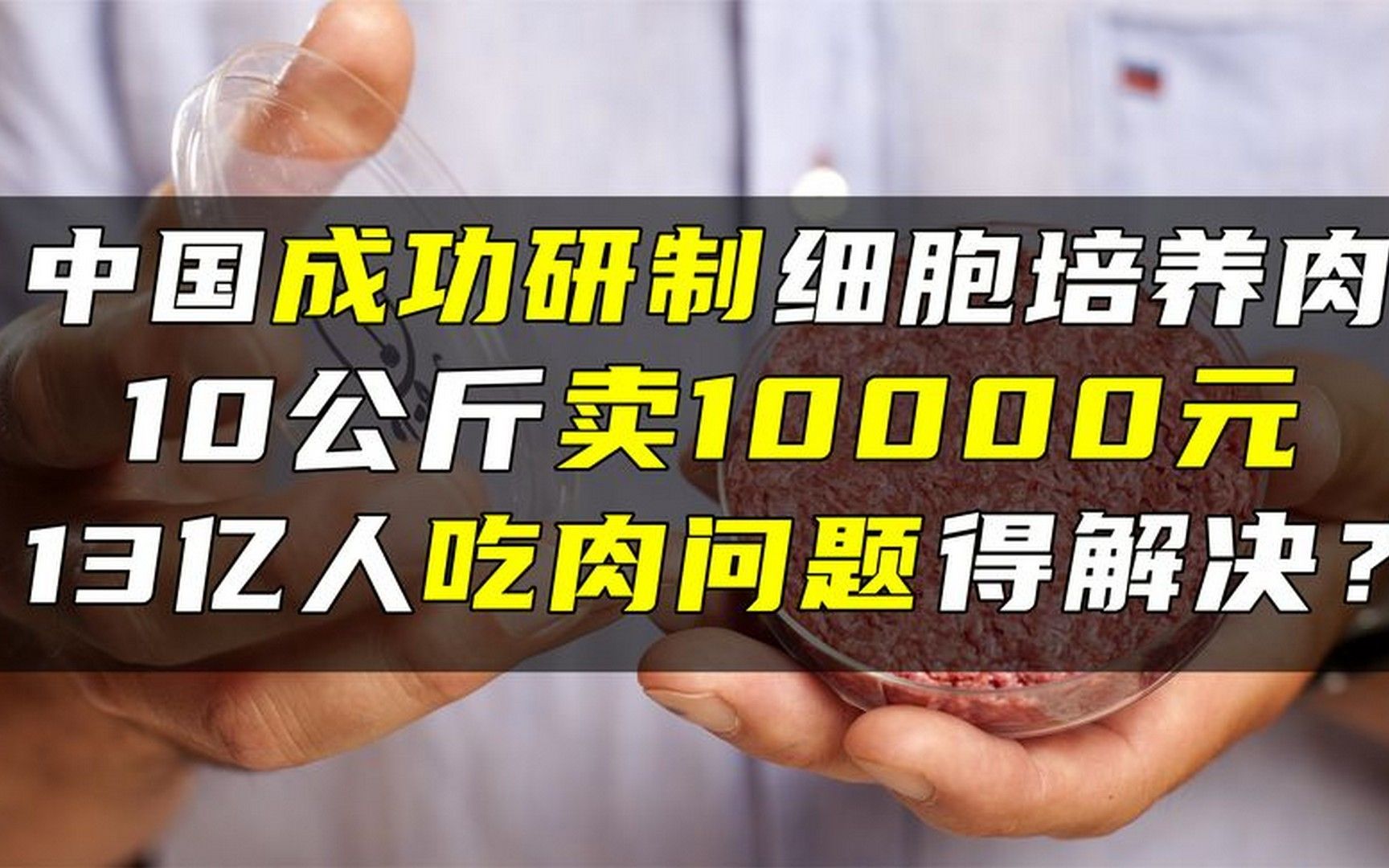 中国人造肉行业:2025从“概念炒作”到“刚性需求”的技术跃迁_人保伴您前行,人保有温度