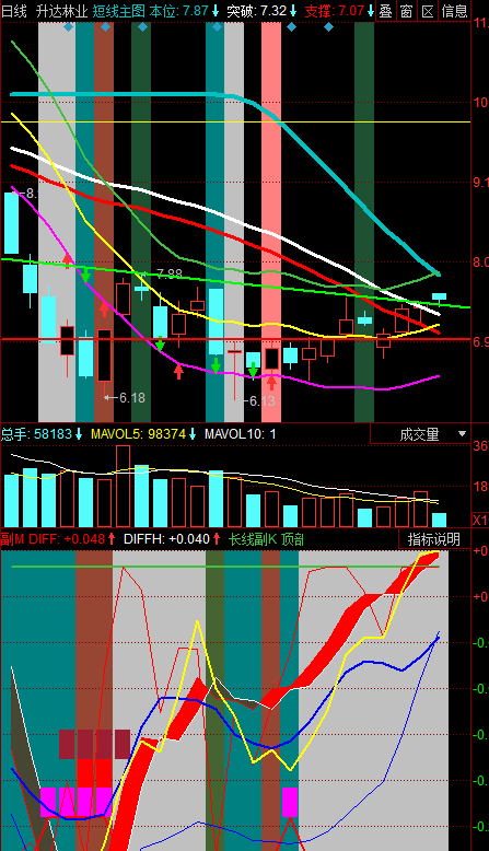 升达林业（002259）2025年中报简析：营收净利润同比双双增长