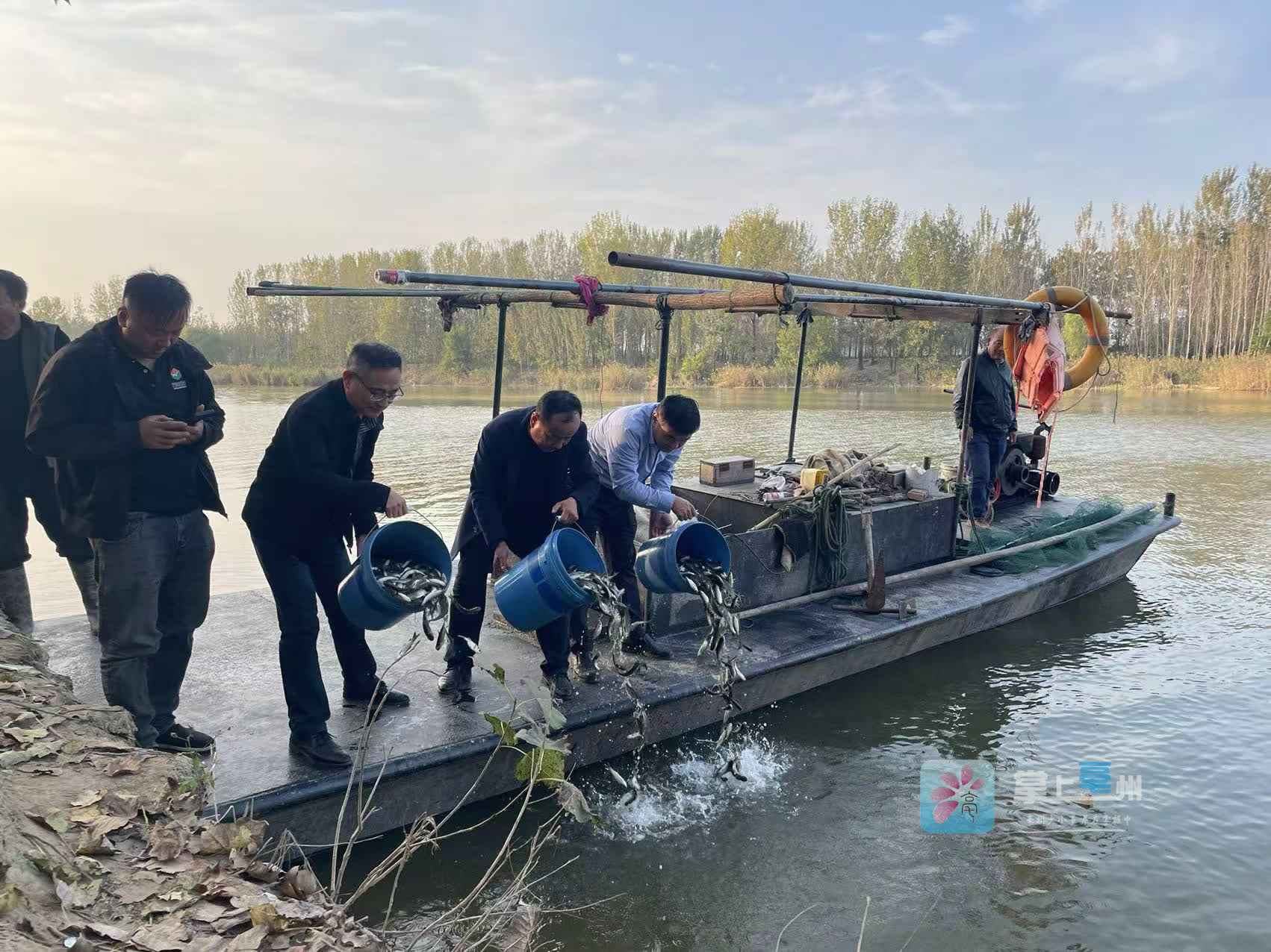 “蜜都”饶河：433万尾鱼苗放流中俄界江乌苏里江