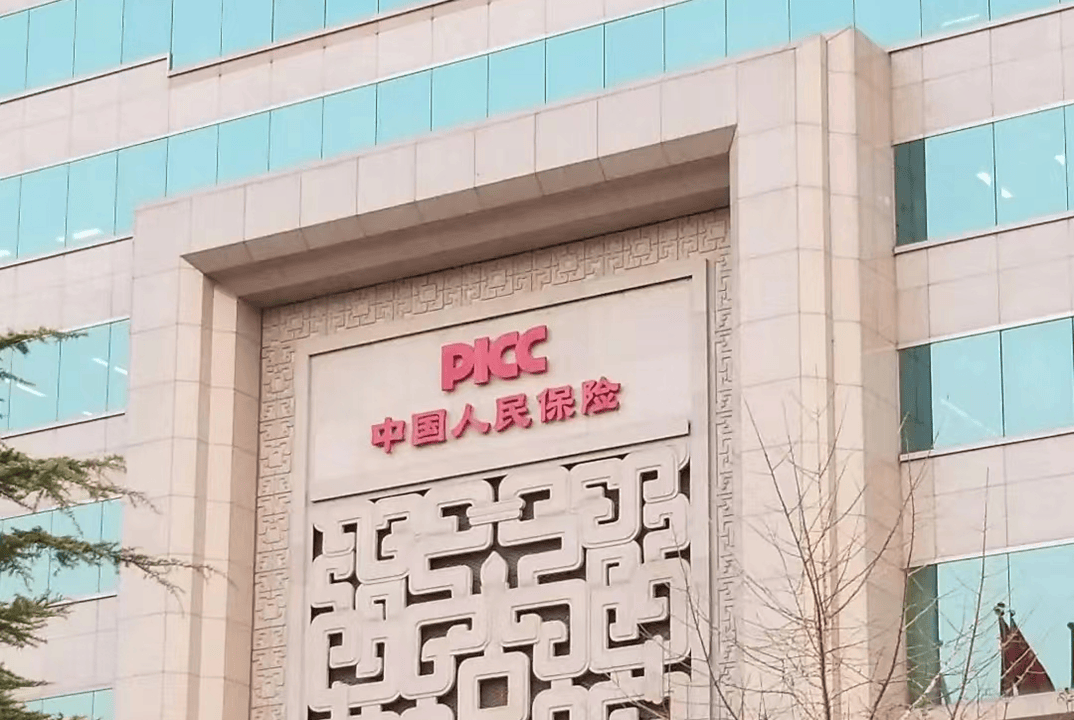 保险有温度,人保服务 _2025-2030中国数据资产平台投资指南：垂直深耕、技术突围与生态为王