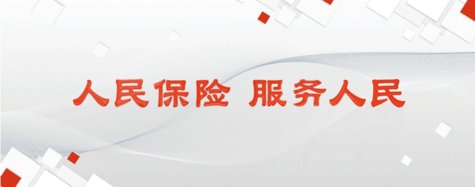 保险有温度,人保服务 _2025-2030中国数据资产平台投资指南：垂直深耕、技术突围与生态为王