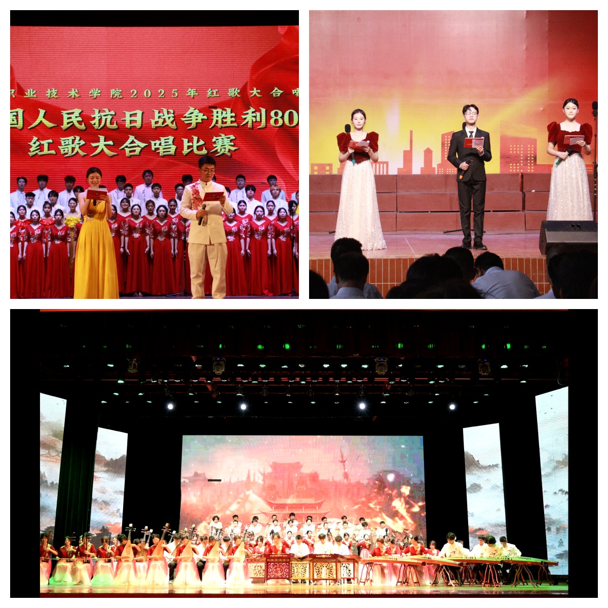 （抗战胜利80周年）纪念大会参会侨胞：弘扬伟大抗战精神 传递世界和平愿景