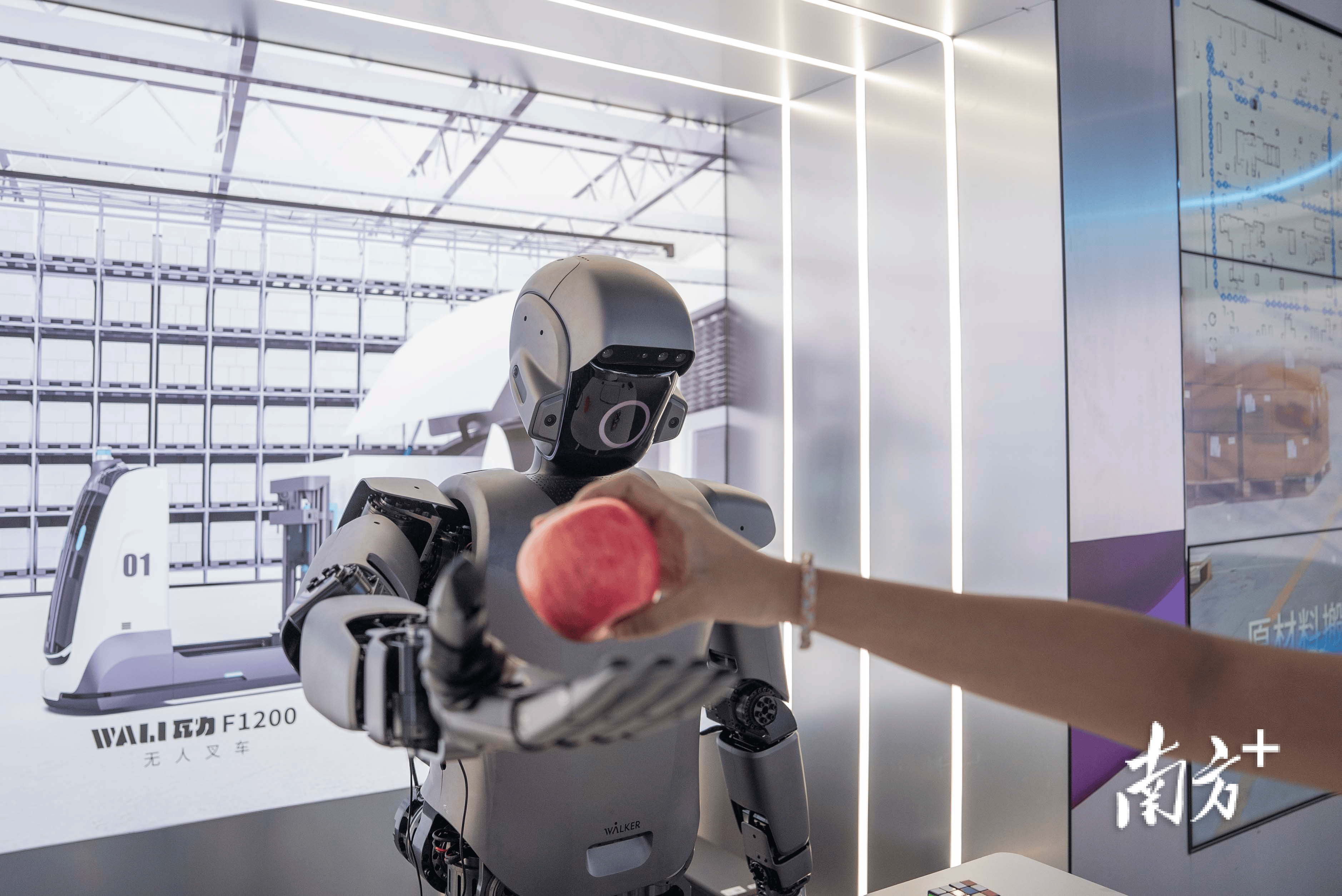 浙江：凝聚各方合力 加快“人工智能+海洋”发展