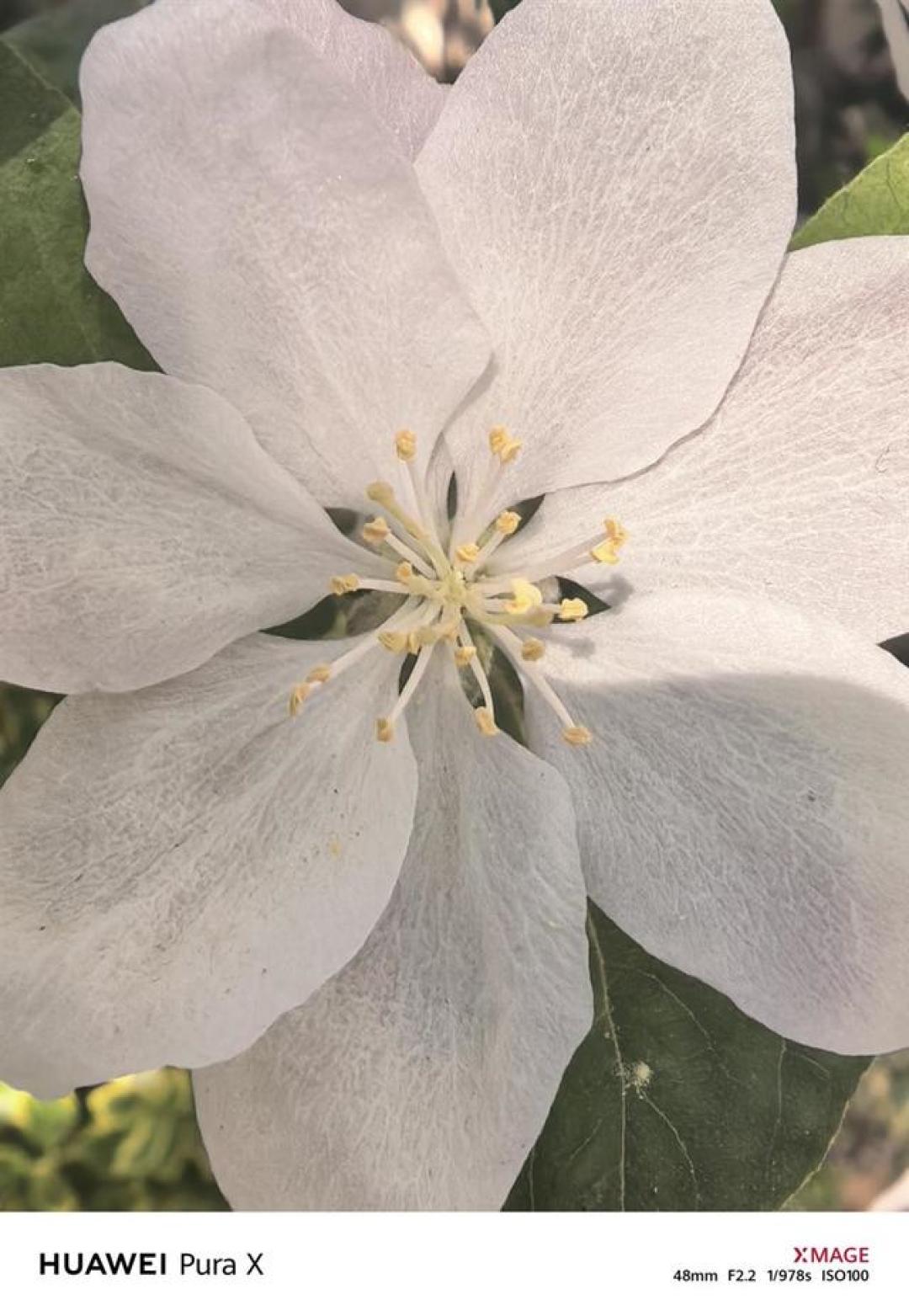 华为发布首款8.8英寸旗舰小平板,或将重塑小尺寸平板市场格局