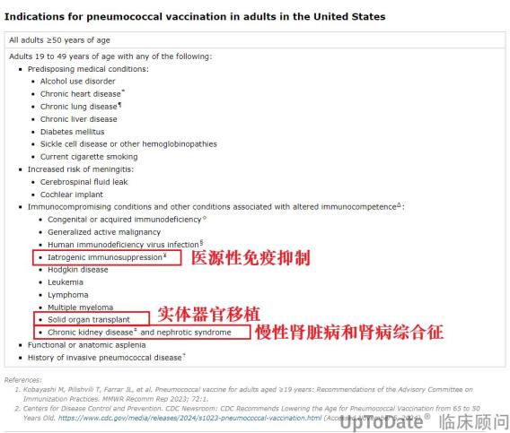 研究显示一种抗体有助于治疗慢性肾病