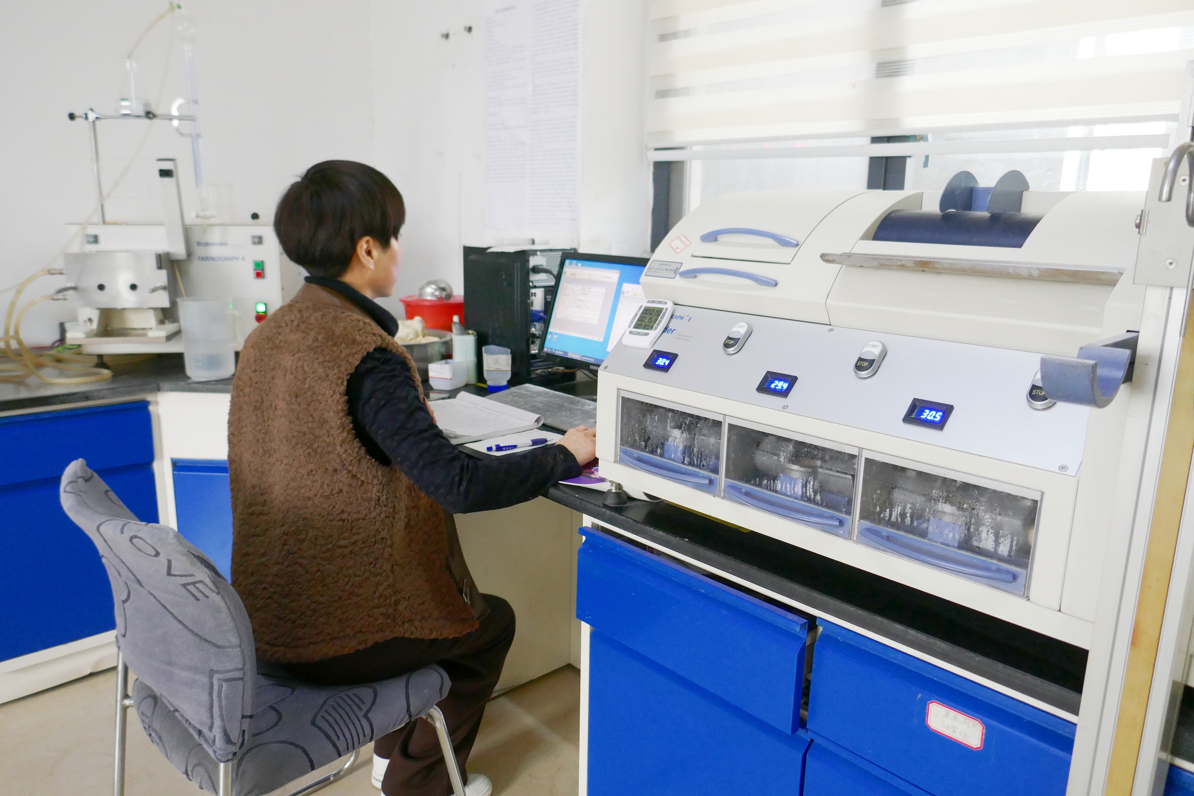 2025面粉产业:消费升级驱动产业变革_人保车险,人保财险