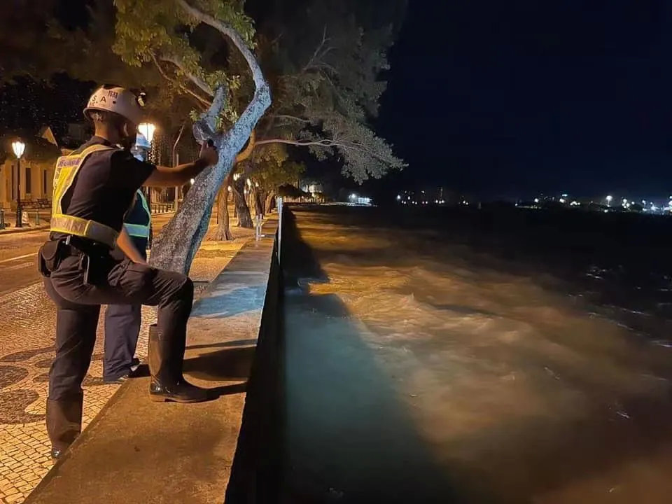 “八号风球”生效 香港市民提早部署有序防风