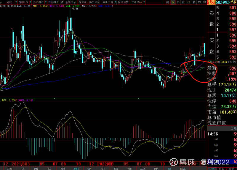 洛阳钼业成交额创2022年6月23日以来新高