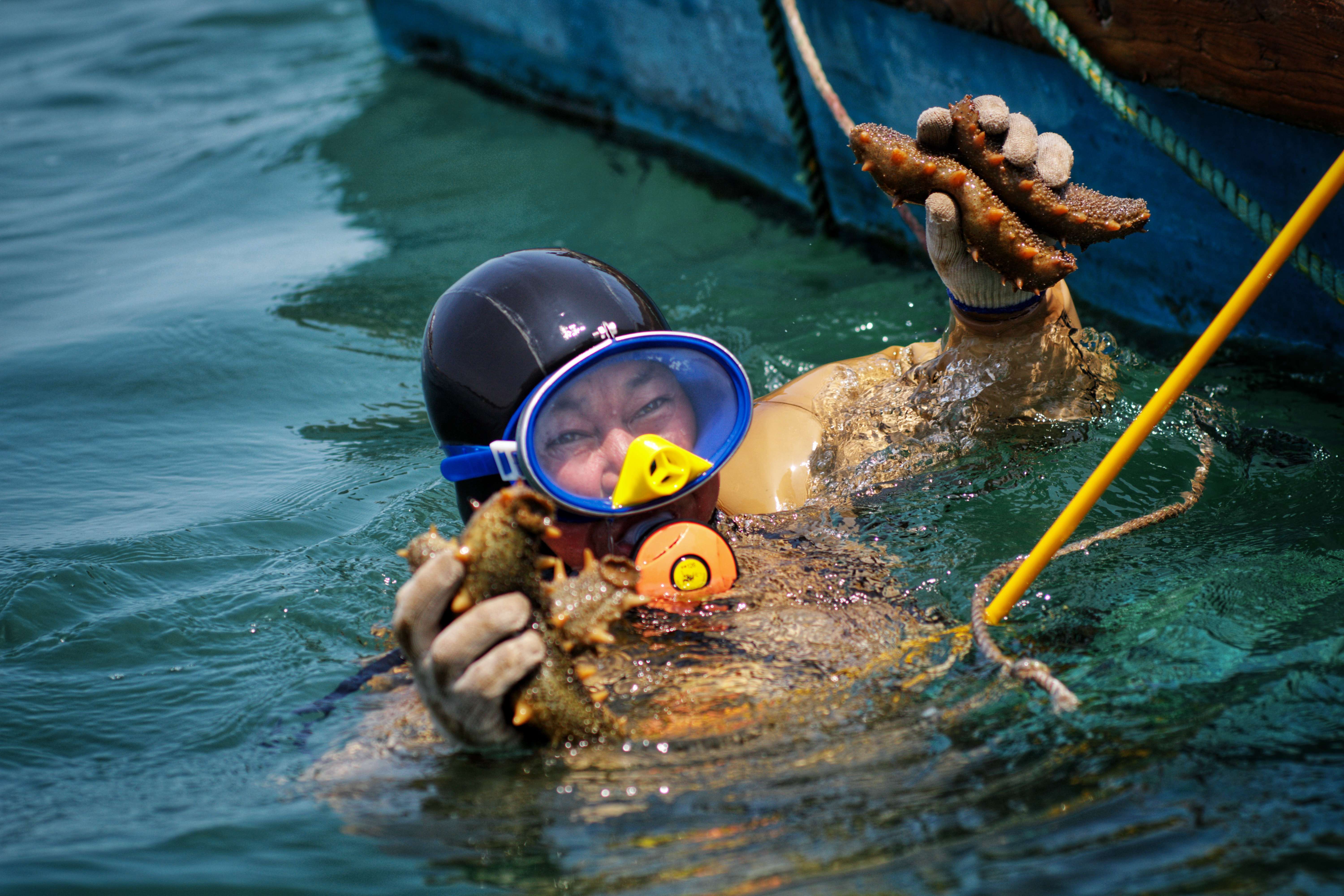 刘振民：海洋与气候治理协同 共同保护滨海生态