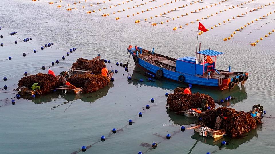 珠江口以西海域所有海上作业渔船回港避风