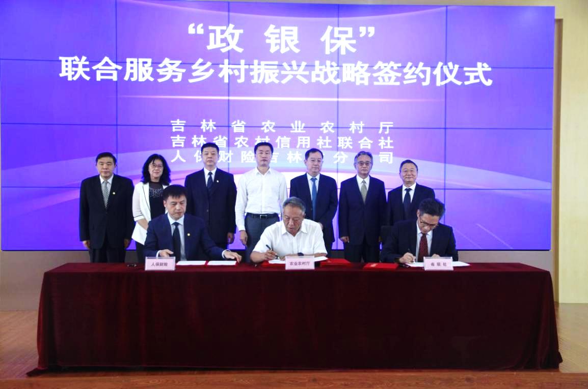 人保财险政银保 ,拥有“如意行”驾乘险，出行更顺畅！_猪苓行业现状与发展趋势分析