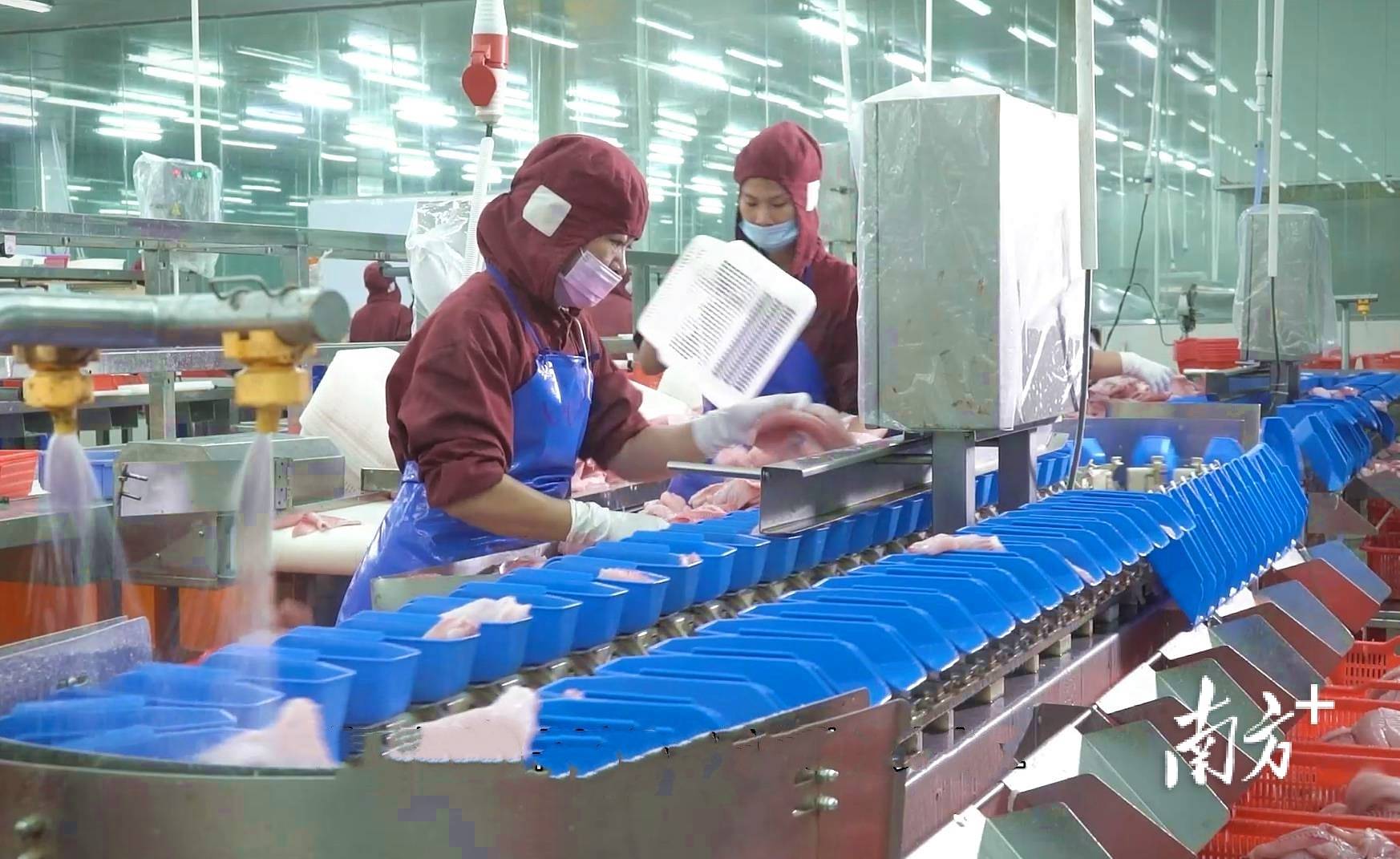 人保车险 品牌优势——快速了解燃油汽车车险,人保车险_罗非鱼行业现状与发展趋势分析