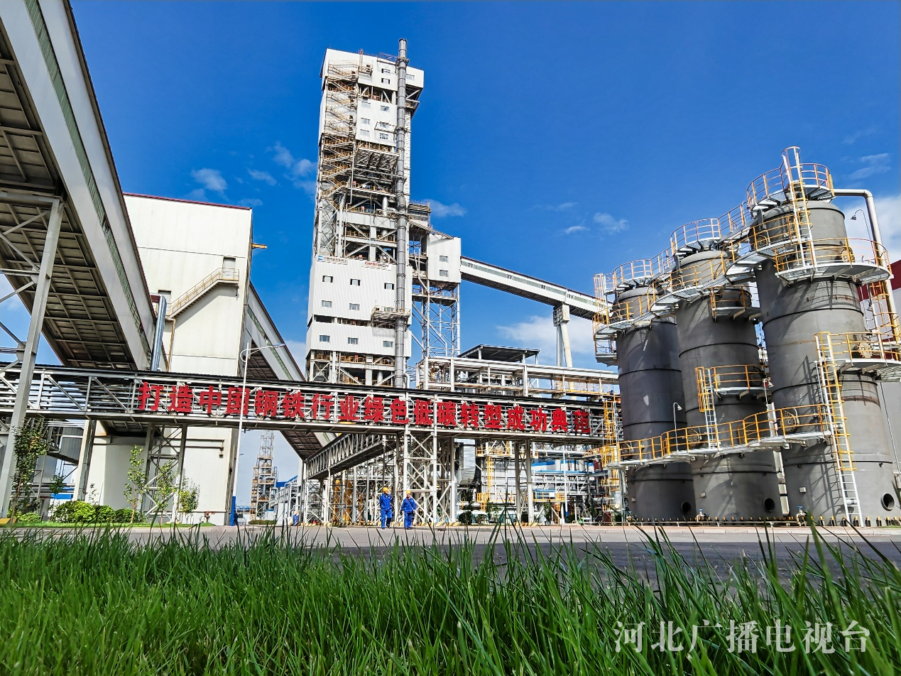 河钢股份:部分董事和高管变动