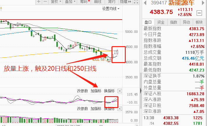 突然跳水！超20万人爆仓！