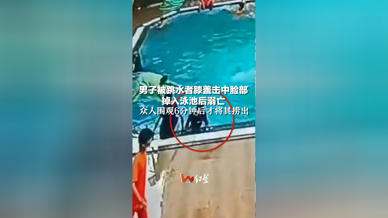 突发跳水!尾盘跌停!