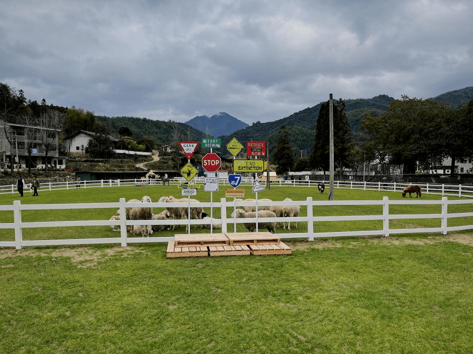 浙江义乌：“农创兴农”赋能“大李祖”乡村共富