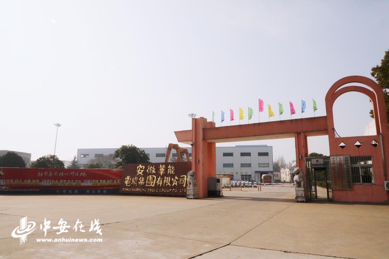 乡村振兴的宁夏答卷:六大“宁字号”品牌矩阵释放强劲动能