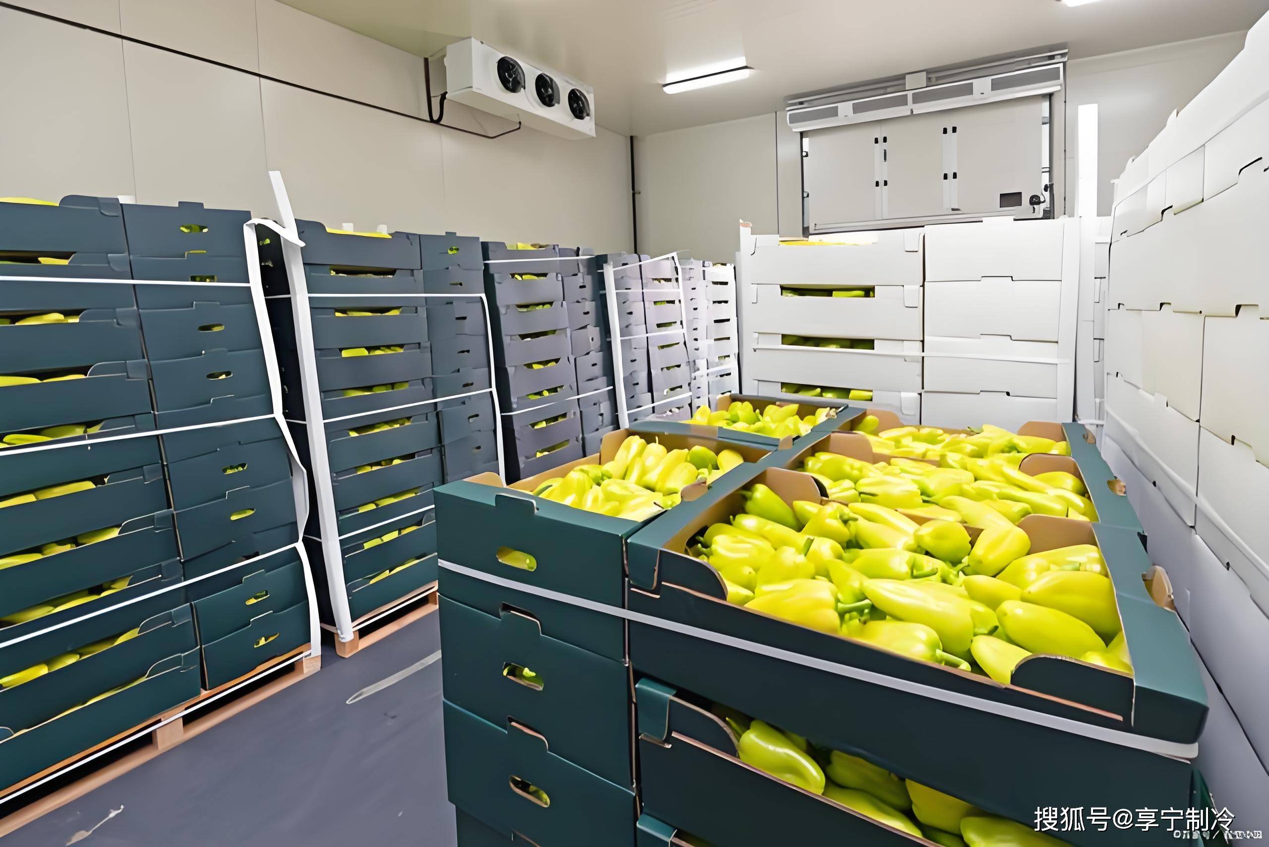 2025年冷库行业现状与挑战分析:冷库容量增速放缓 企业经营面临多重挑战_保险有温度,人保有温度