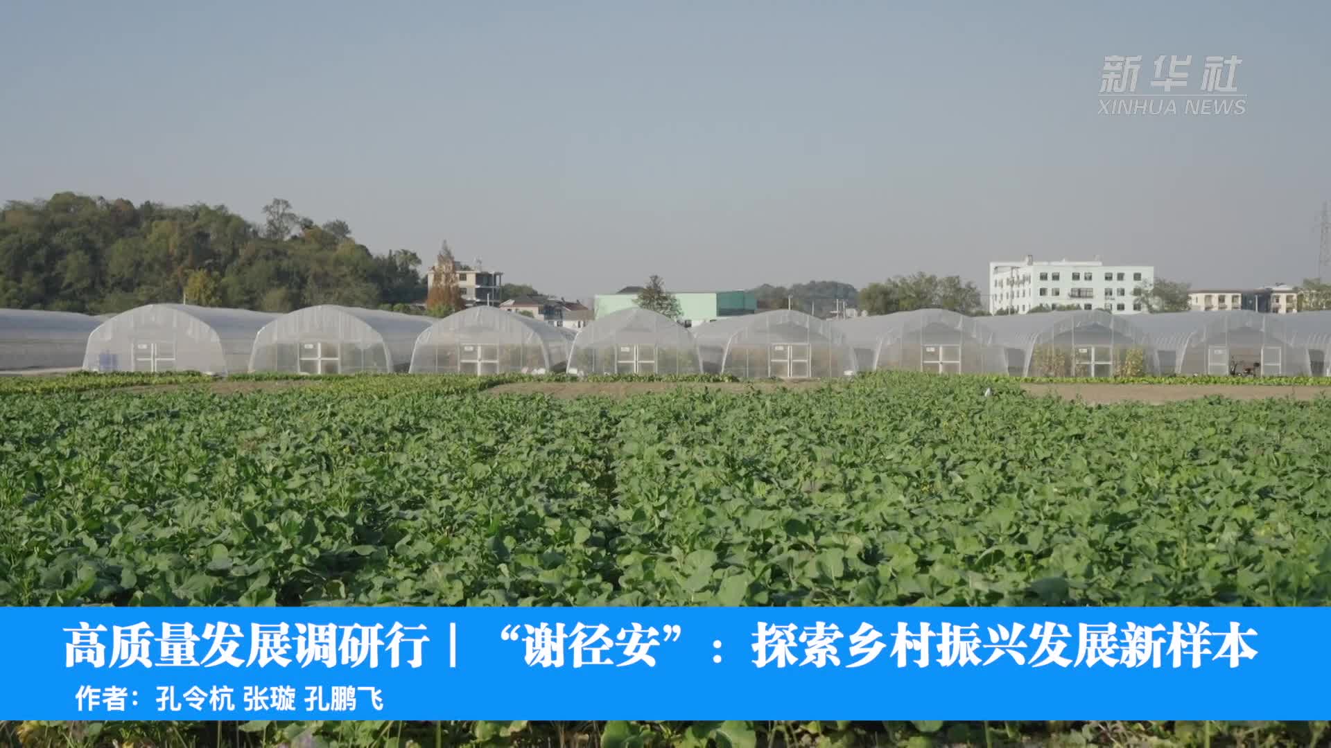 (活力中国调研行)产业旺、服务暖、文旅兴 江苏淮安大福村绘就乡村振兴新图景