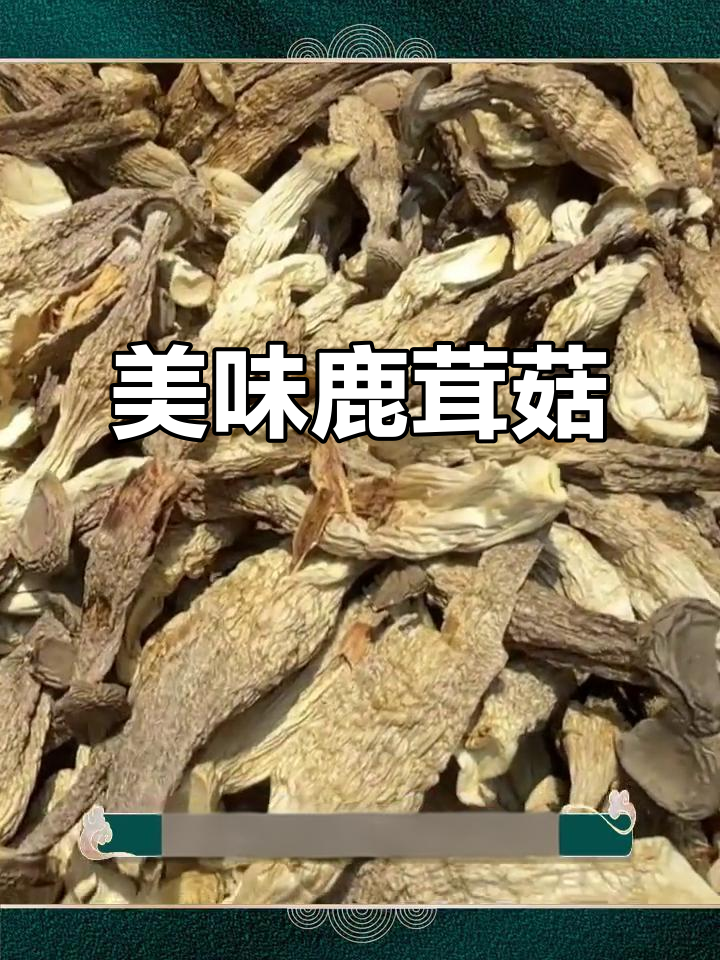 华绿生物：鹿茸菇改建项目预计年末实现满产