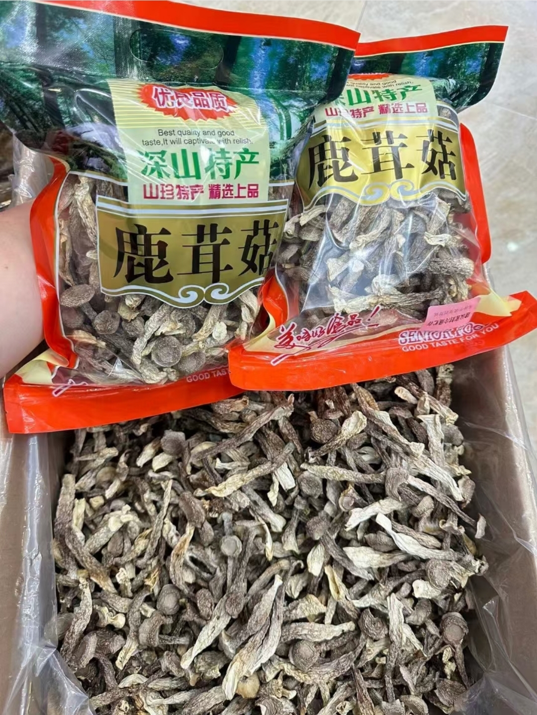 华绿生物：鹿茸菇改建项目预计年末实现满产