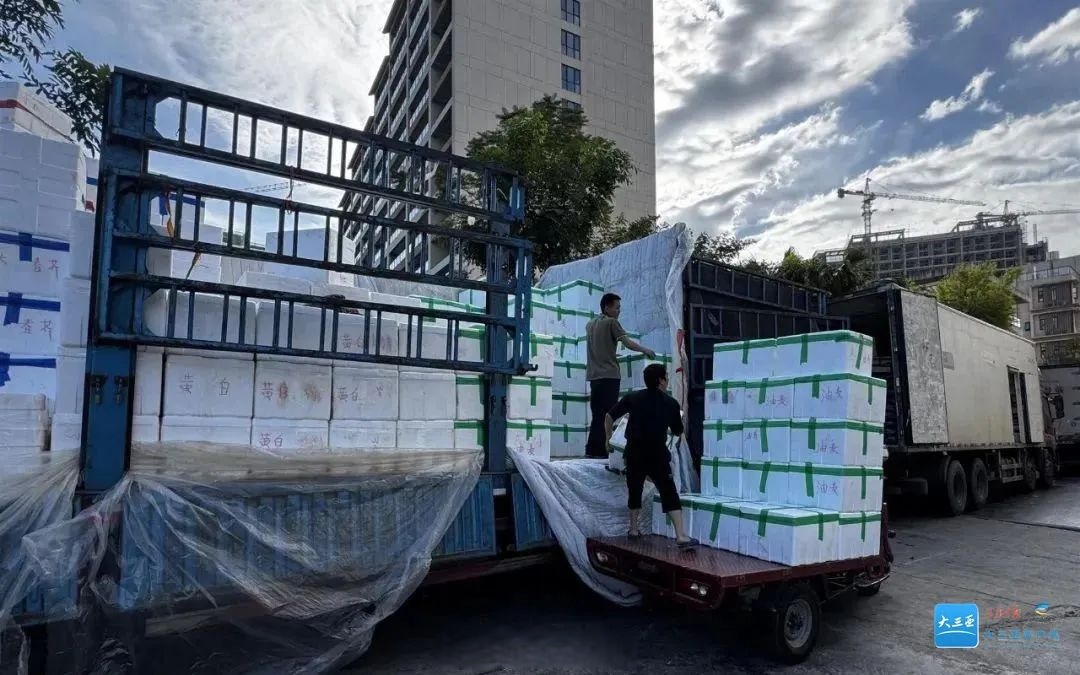 青海冷凉蔬菜首次出口越南