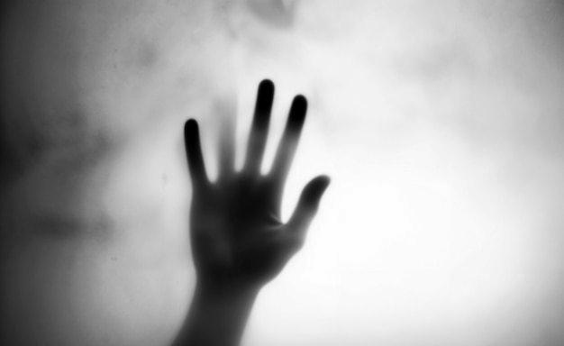 涉嫌泄露以军虐囚视频 以军前高官被捕