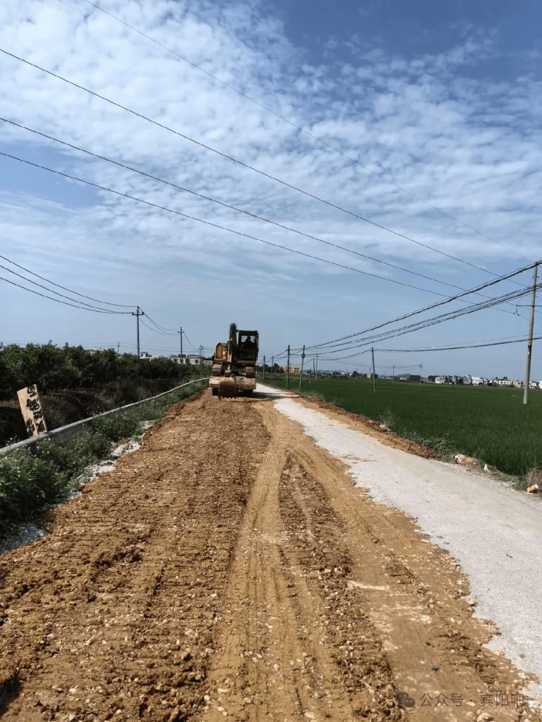 人保服务,拥有“如意行”驾乘险，出行更顺畅！_茶叶行业终局竞争：以标准化、数字化、差异化重构产业新生态