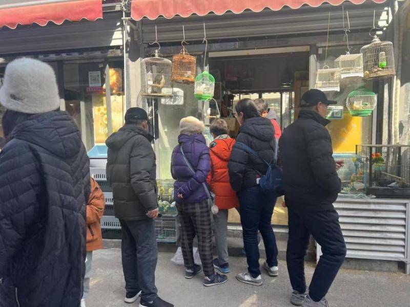 异宠经济百亿市场背后的规范之路