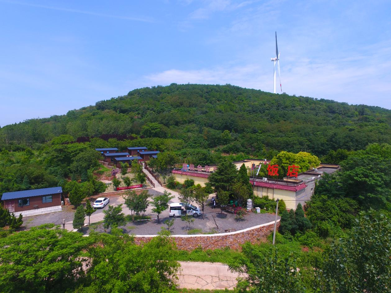 (乡村行・看振兴)广西宁明荒山爬满“黄金藤” 撬动大健康产业新蓝海