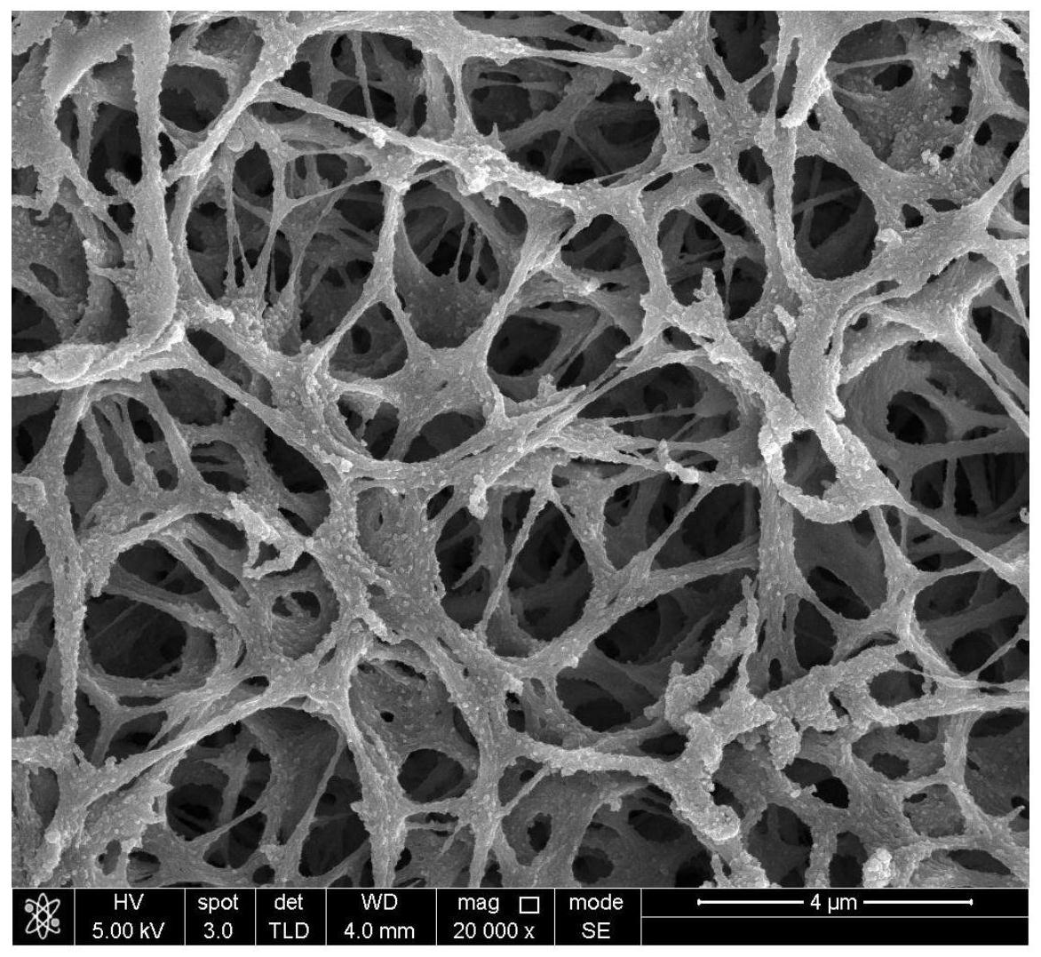 中国石化获得发明专利授权:“一种钻井液用阳离子沥青组合物及其制备方法”