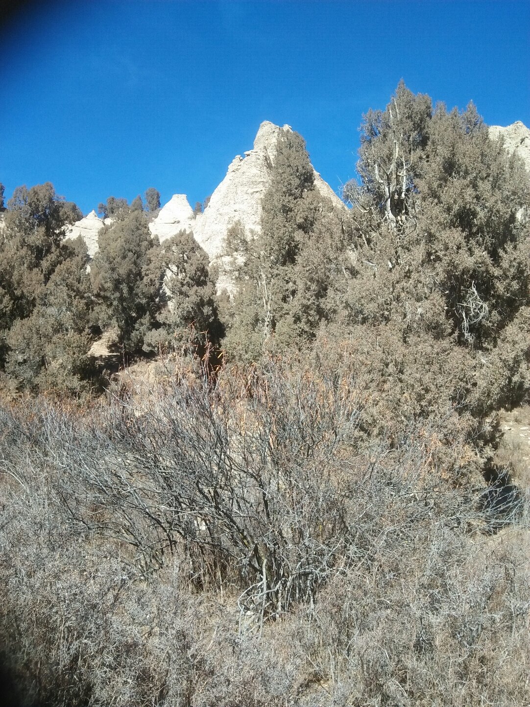 青海互助县一乡镇公路刚通车就多处坑洼？官方通报