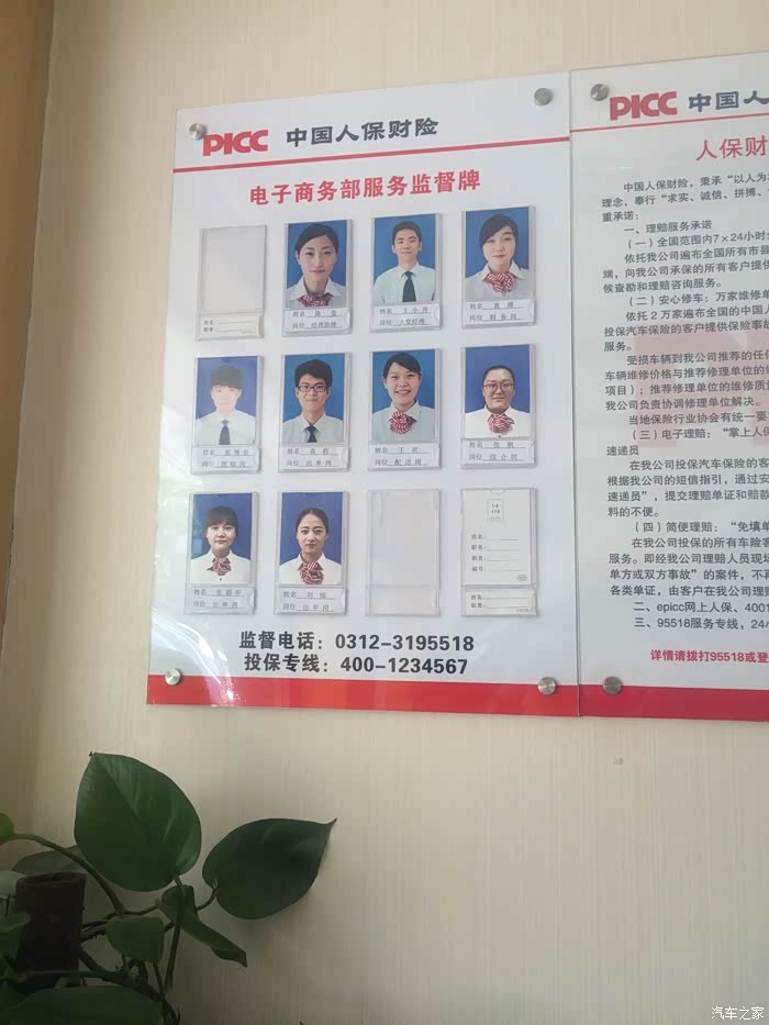 2025中国染料化工行业市场调查分析_人保伴您前行,人保车险