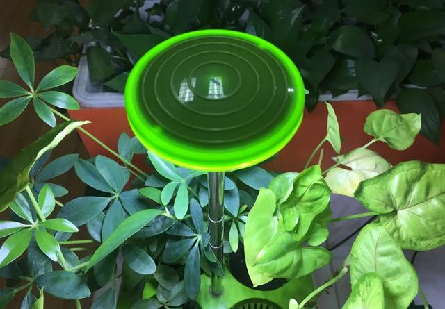 粉尘也能“施肥”？科研人员揭秘其对气候影响之谜