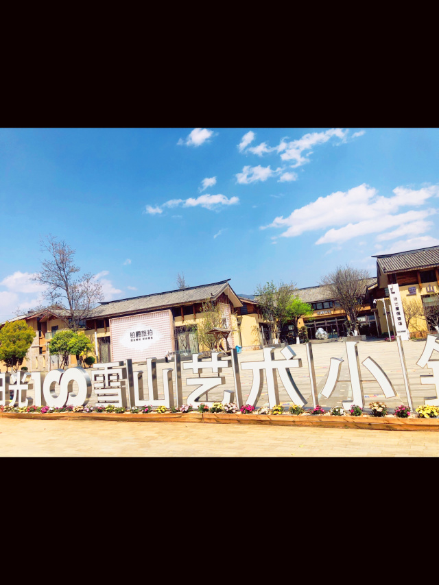 李亚鹏参投的雪山艺术小镇项目公司，被大股东申请破产