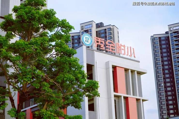 星宸科技:预期毛利率将呈逐季向好的趋势