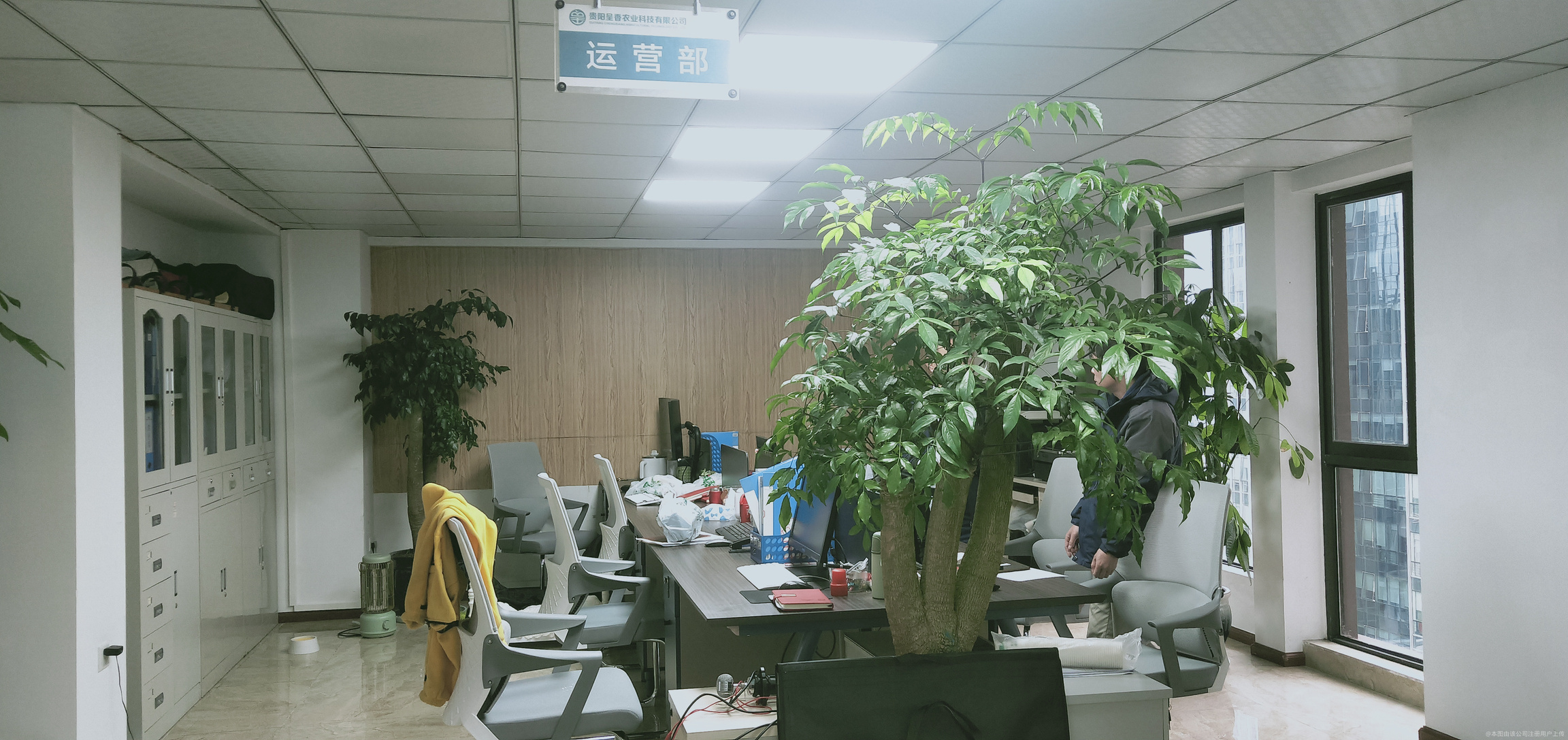 星宸科技:预期毛利率将呈逐季向好的趋势