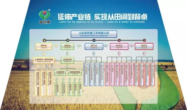 （乡村行・看振兴）解码一粒米从田间到餐桌：农民企业家20年打造“稻梦工厂”